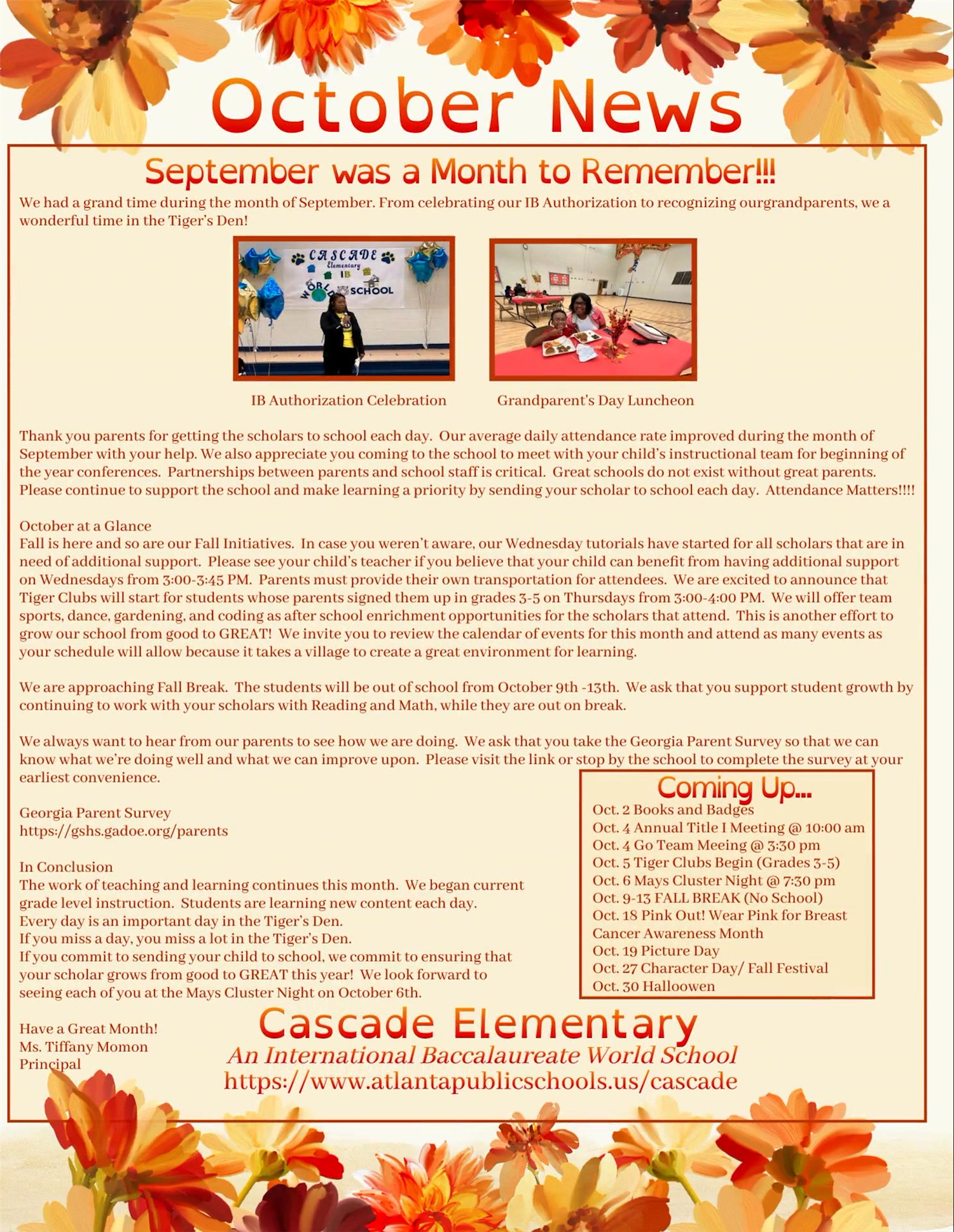 newsletter